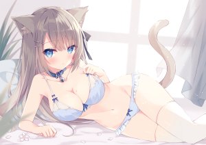 hoshi,兽耳,bra,猫耳,胖次,黑丝
