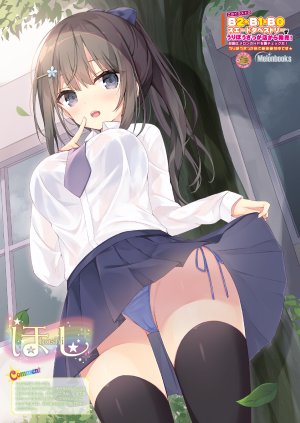 hoshi,bra,胖次,制服,黑丝