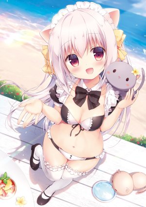 Melonbooks,原创,宫坂なこ,动物,前发,海滩,水着,脸红,露胸,cleavage,长发,视线正对,女仆,横乳,露脐,開いた口,红色眼,天空,笑顔,single,泳装,黑丝,白发,白丝,风