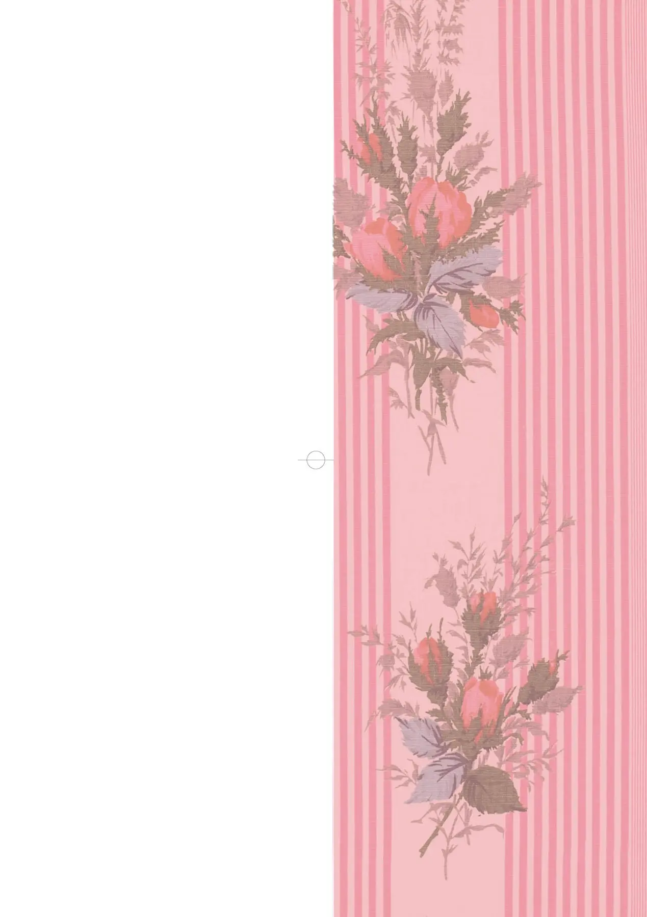 HB4955-P2